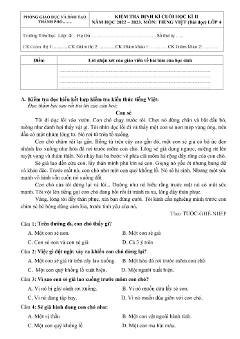 Đề kiểm tra định kì cuối học kì II môn Tiếng Việt Lớp 4 - Năm học 2022-2023 (Có đáp án)