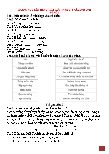 Đề ôn thi trạng nguyên vòng 6 môn Tiếng Việt Lớp 4 - Năm học 2023-2024 - Trường Tiểu học Tam Sơn 2 (Có đáp án)