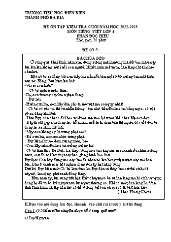 Đề ôn tập kiểm tra cuối học kì II môn Tiếng Việt Lớp 4 (Đọc hiểu) - Năm học 2022-2023 - Trường Tiểu học Điện Biên - Đề số 5